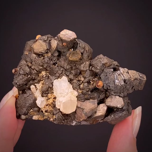 Pyrrhotite and Quartz ex Dick Heck coll