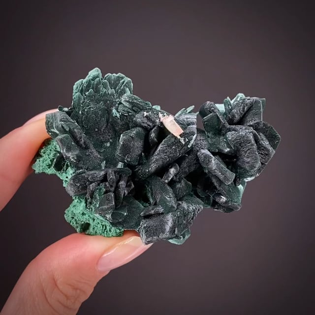 Malachite ps. Azurite (june 2008 pocket)