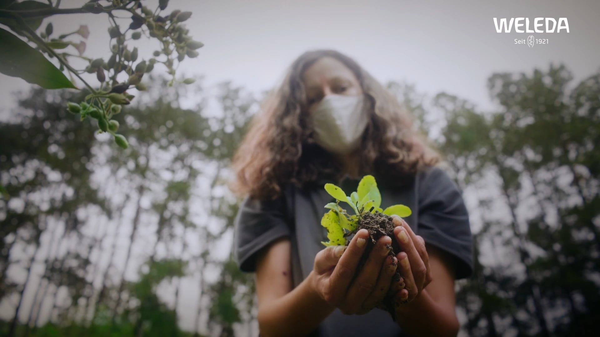 Weleda | Raízes brasileiras I Agricultura Biodinâmica