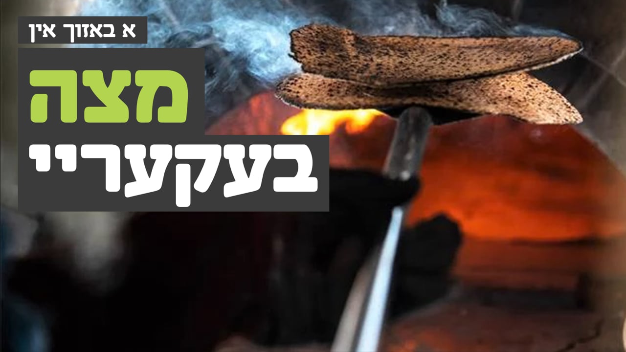 אחים ביחד באזוכט א מצה בעקעריי