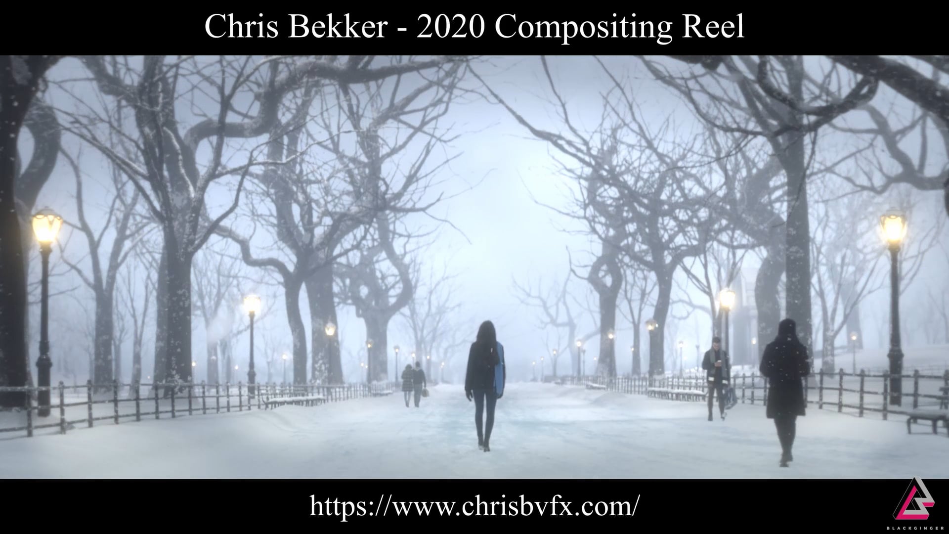 MY FEATURE FILM REELS