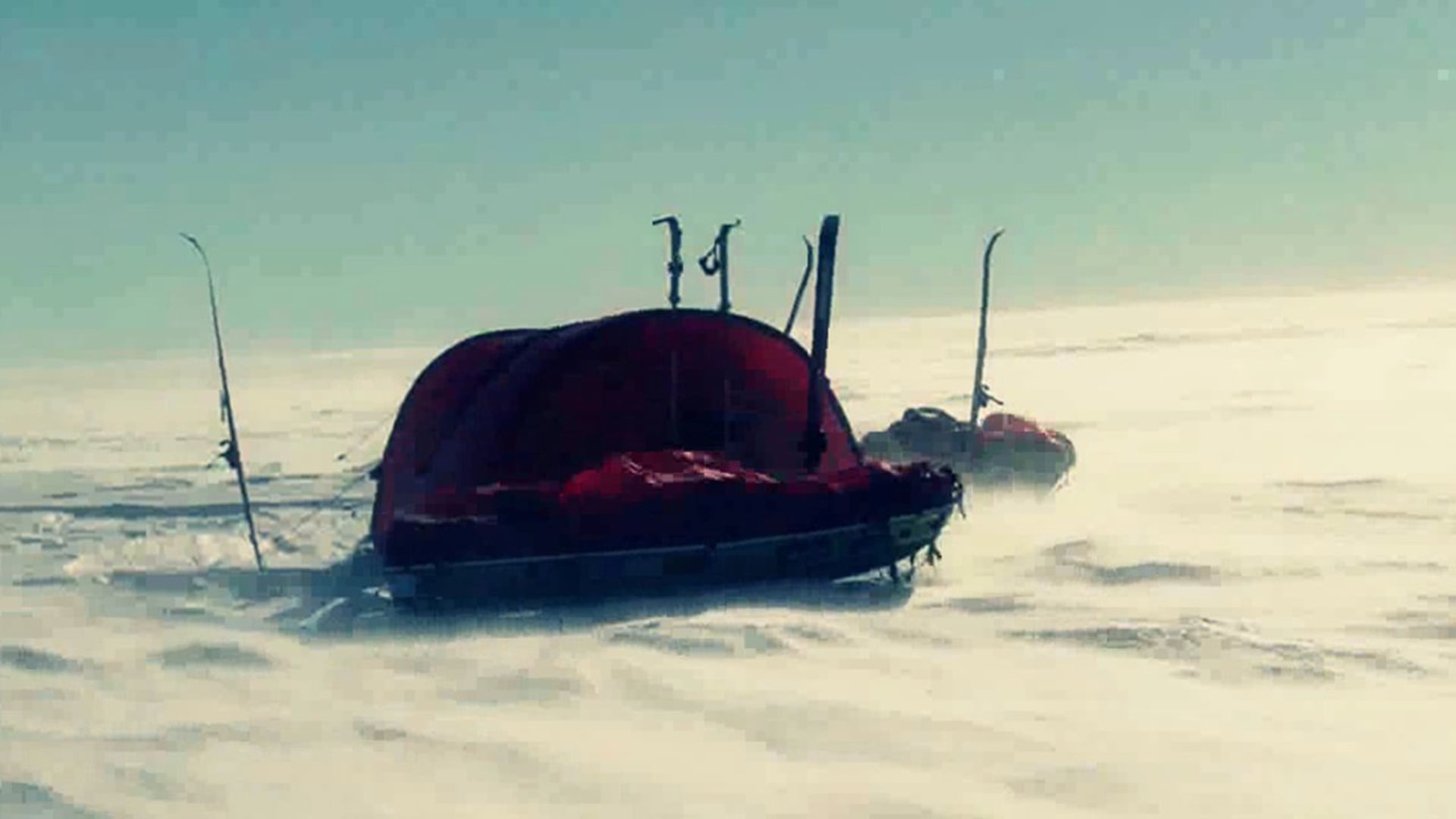 Surrendered & Untamed