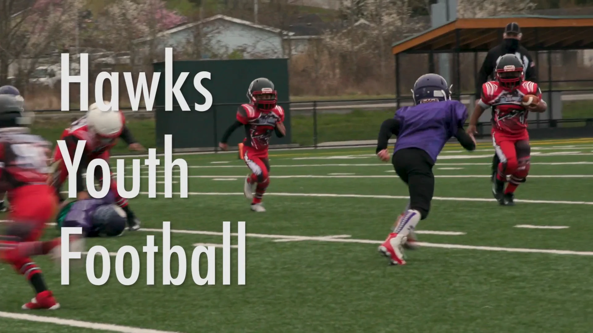Hawks Youth Sports