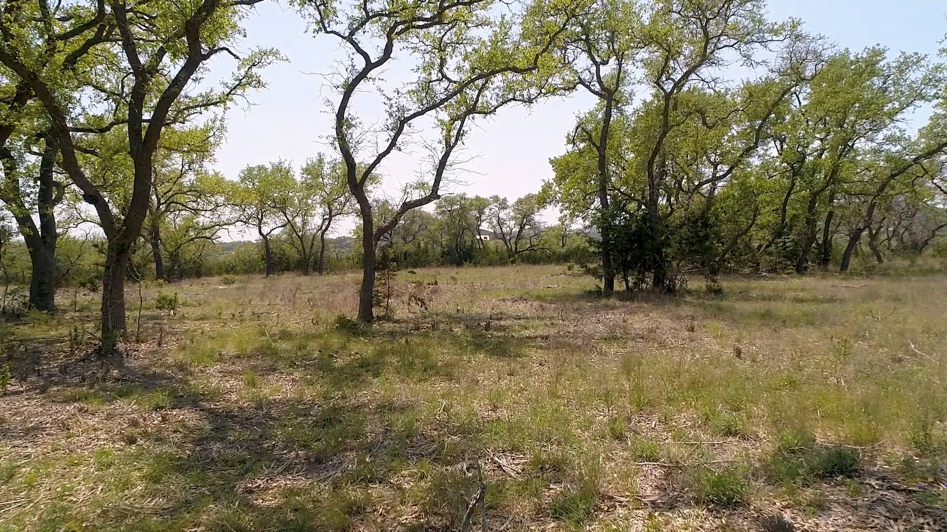 101 Bluff Ridge Trail ~ Ranches of Brushy Top on Vimeo