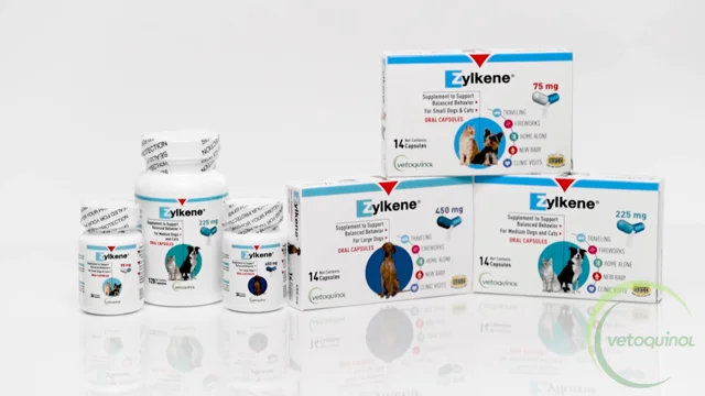 ZYLKENE Plus 22,89 g