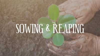 Day 26 Meditation