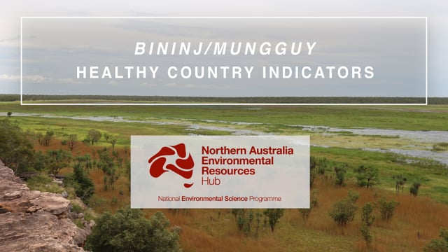 Bininj/Mungguy healthy country indicators in Kakadu National Park