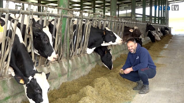 Confianza nun equipo profesional favorecedor do éxito