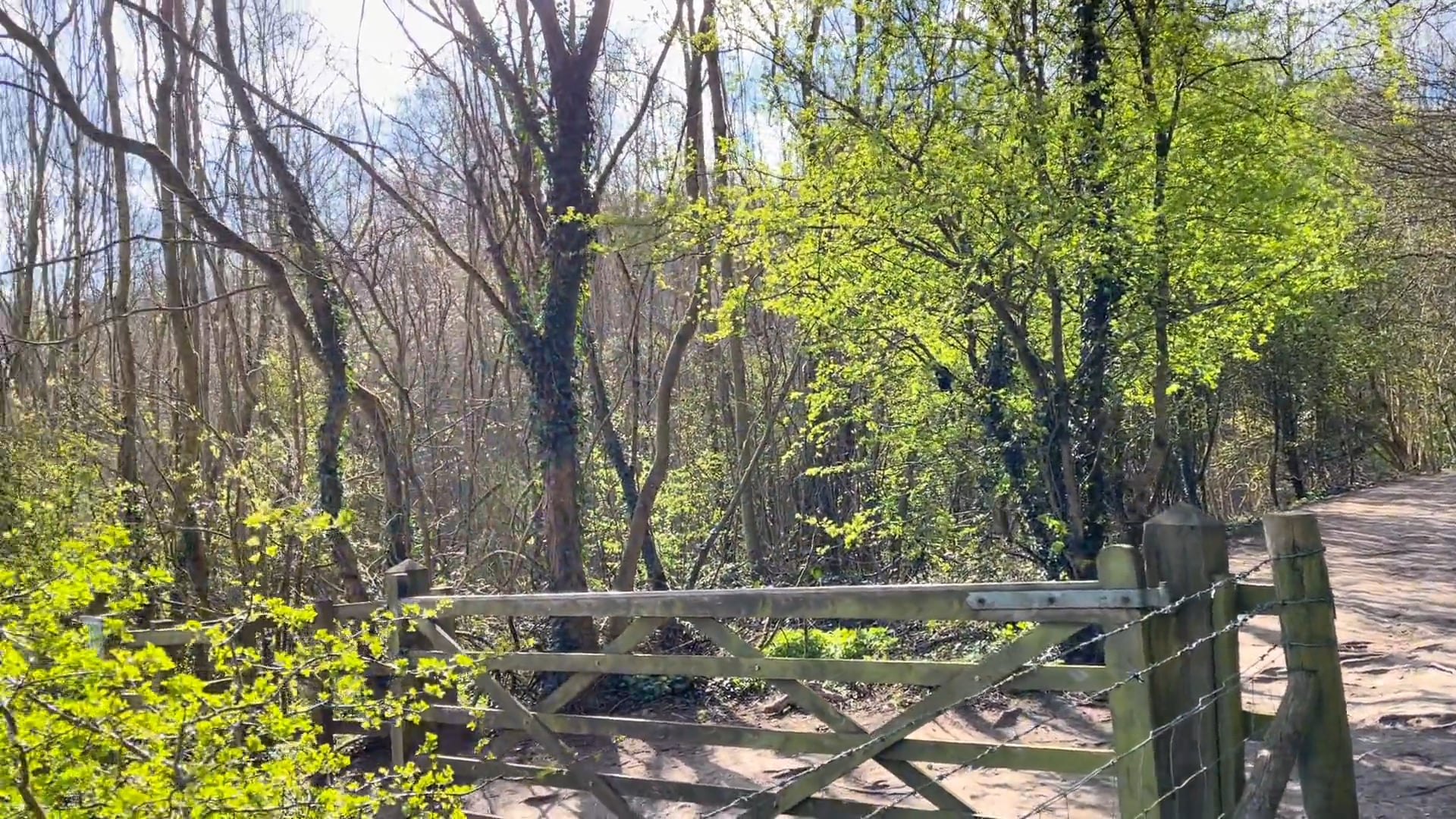 Tring in Spring on Vimeo