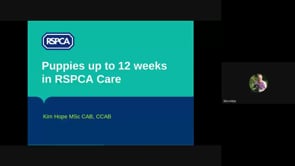Puppies in RSPCA Care 0-12 Weeks Part 1 of 3 - Kim Hope
