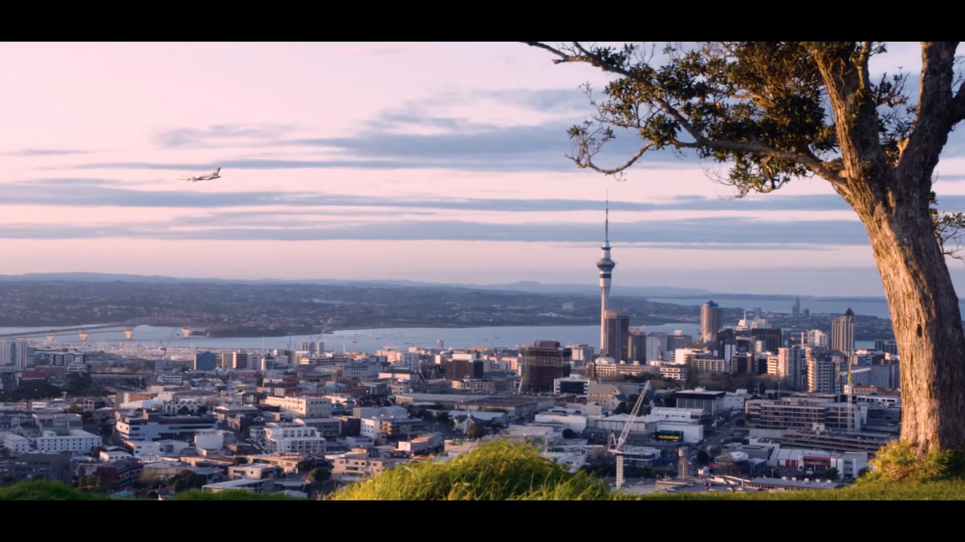 AIR NEW ZEALAND