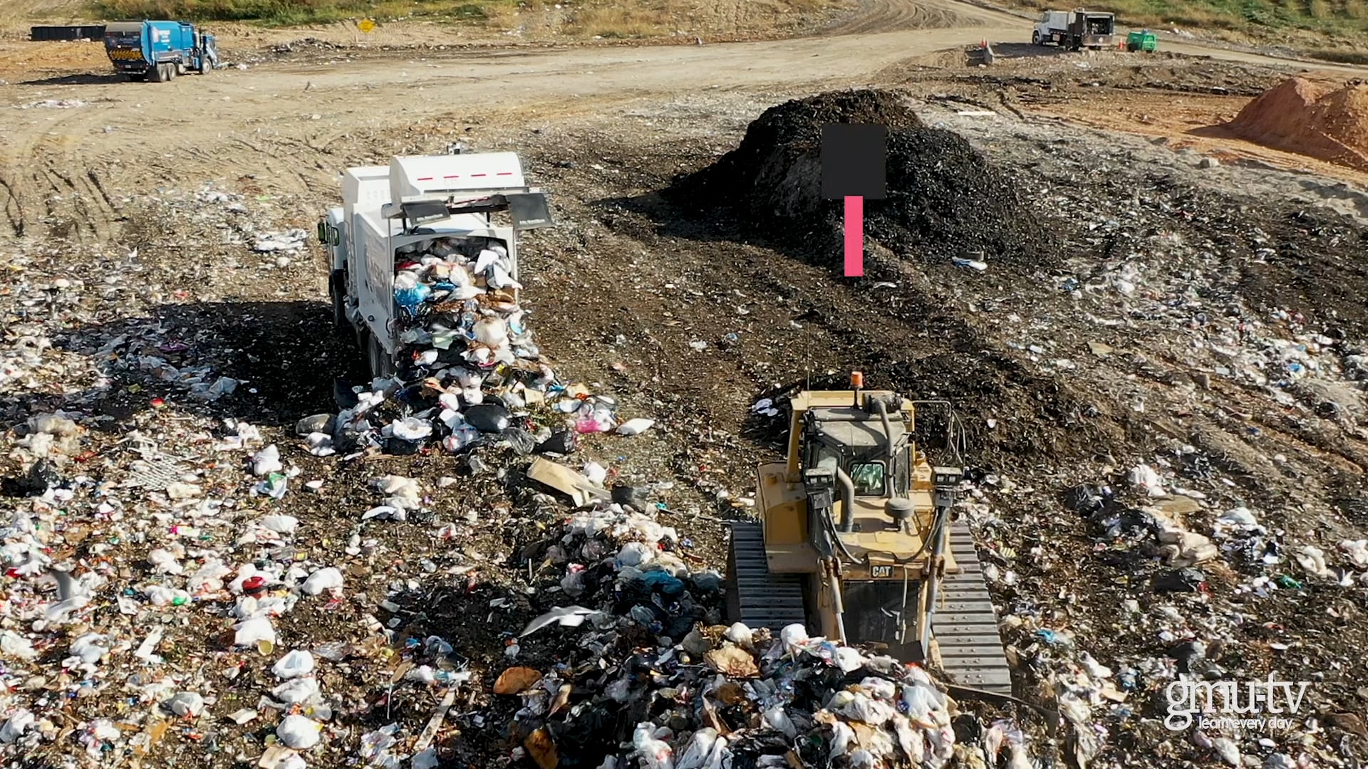 Prince William County Landfill Part 4 Birds Bees Wetlands Wildlife on
