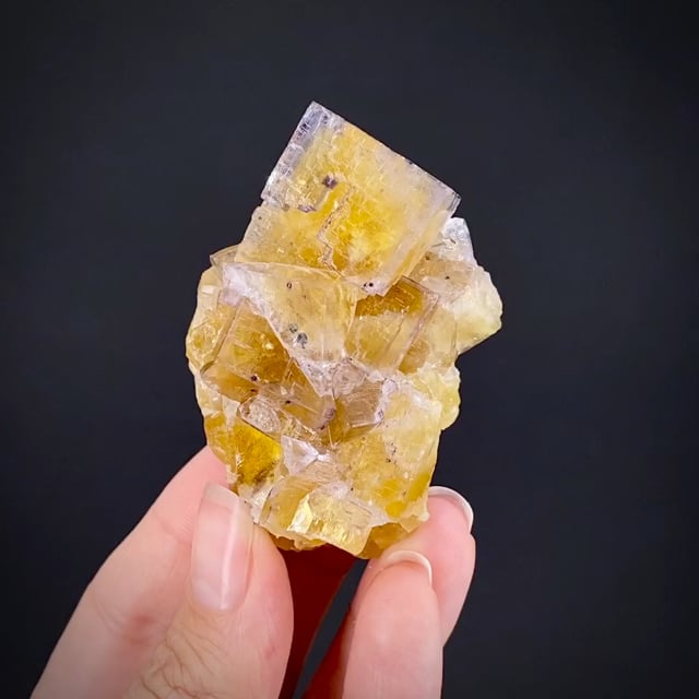 Fluorite - Golden-Yellow Crystals from the Okorusu Mine