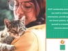 ACVP | Differentiate Yourself as a Knowledgeable Veterinary Pharmacist | Pharmacy Platinum Pages 2021