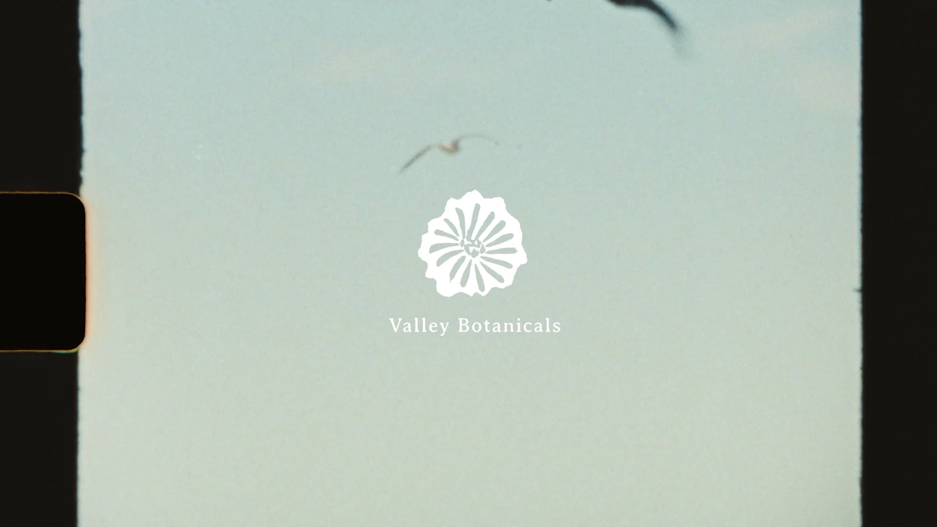 Valley Botanicals - Brand Story