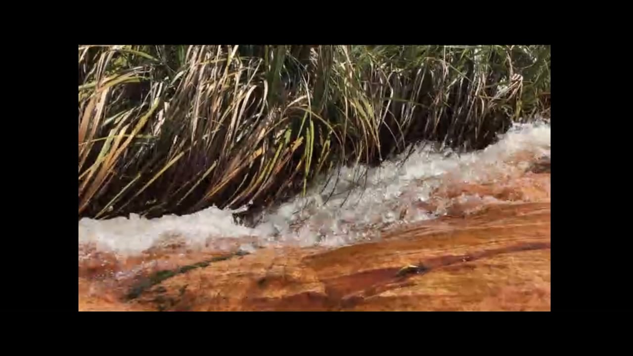 The Lower Main Street Rastaman, a video by Fanidh Sanogo