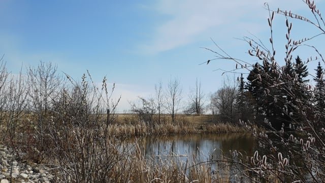 Spring Weather Sky Free Stock Video - Pixabay