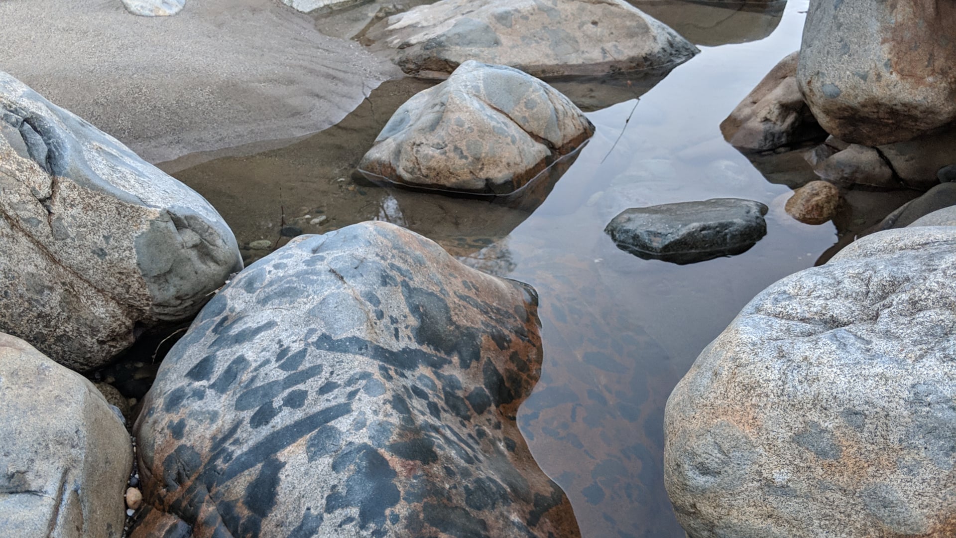 2021 April 13: Right View is the North Star!