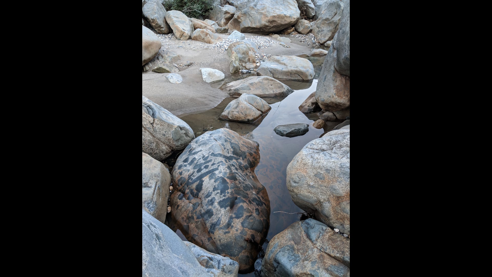 2021 April 13: Right View is the North Star!