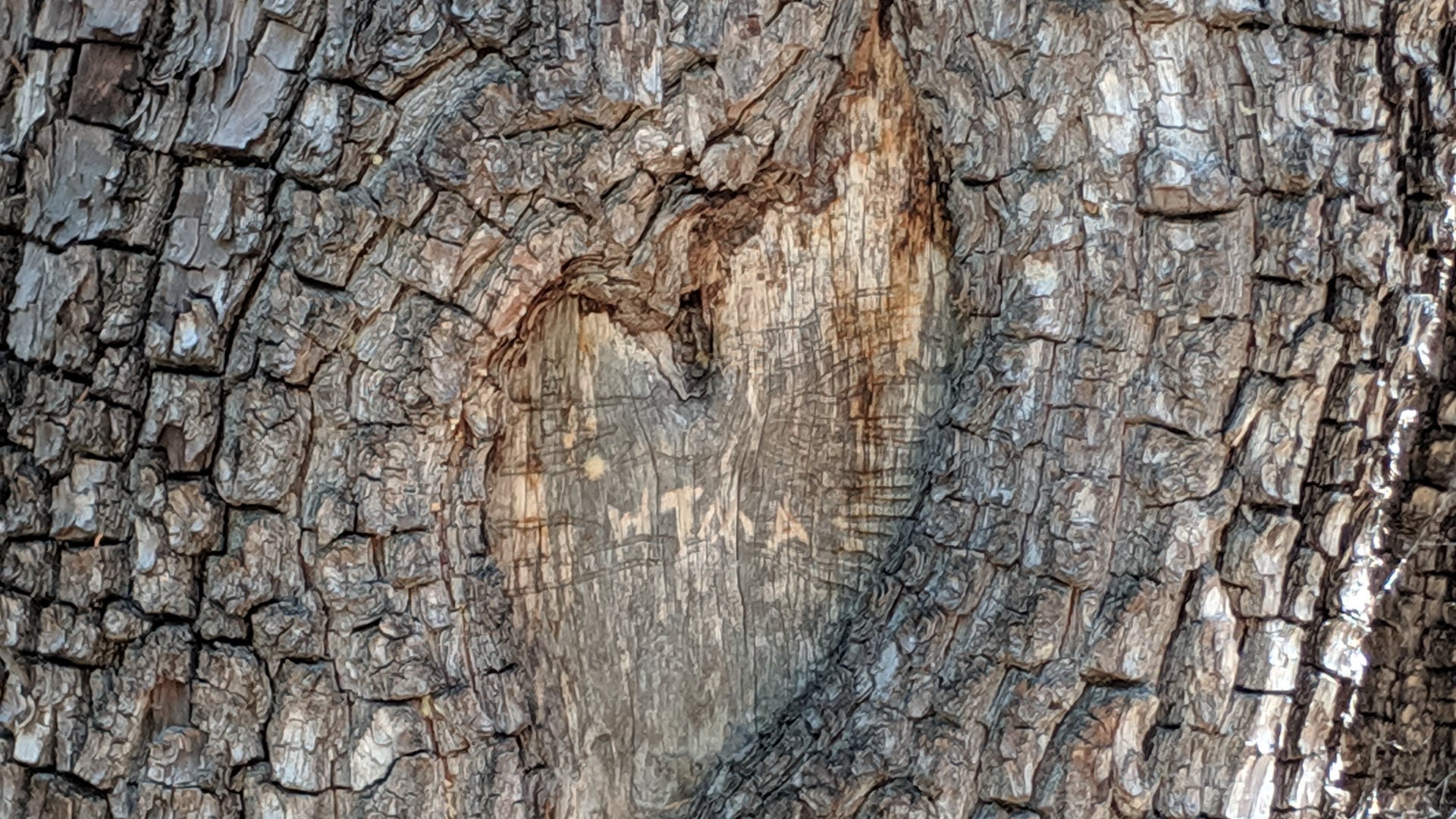 2021 April 15: Starting Out & Staying the Course