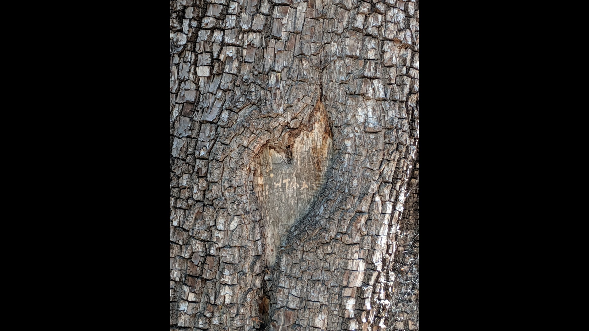 2021 April 15: Starting Out & Staying the Course