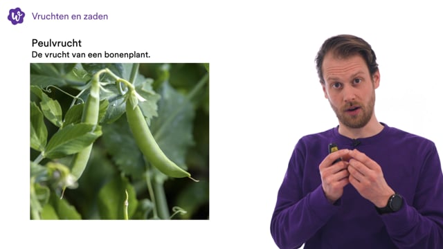 Oefen Met Voortplanting Bij Planten En Dieren Uit Biologie Voor Jou ...