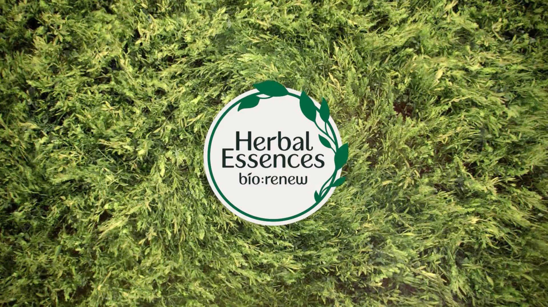 Herbal Essences Essences of Life Director's Cut on Vimeo