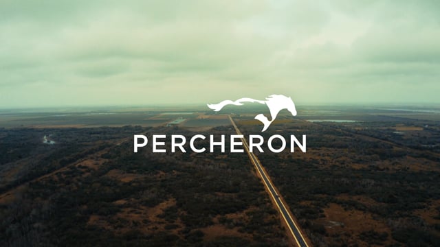 Percheron - Think Integrated