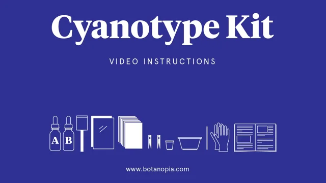 Learn about Cyanotype - Q&A - Botanopia