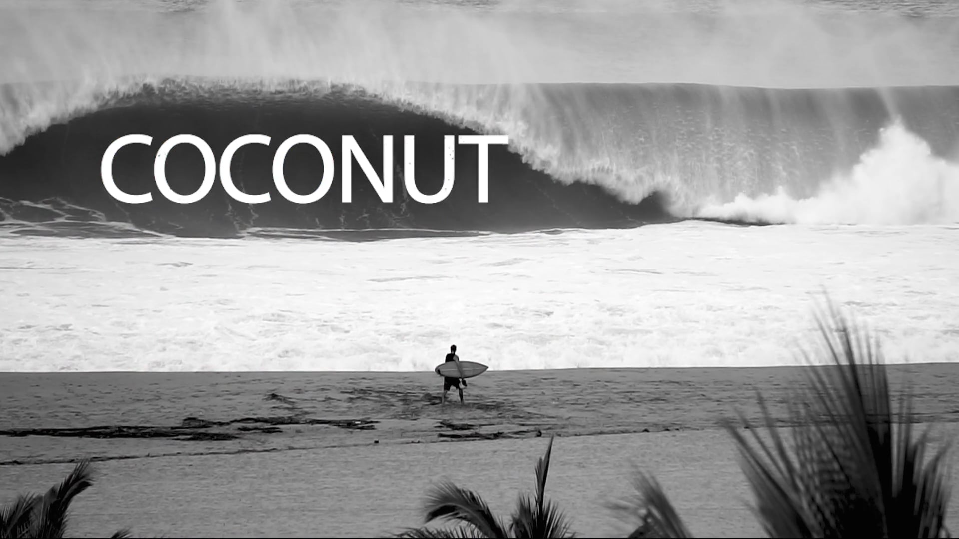 Coconut Willie 2.0 Trailer