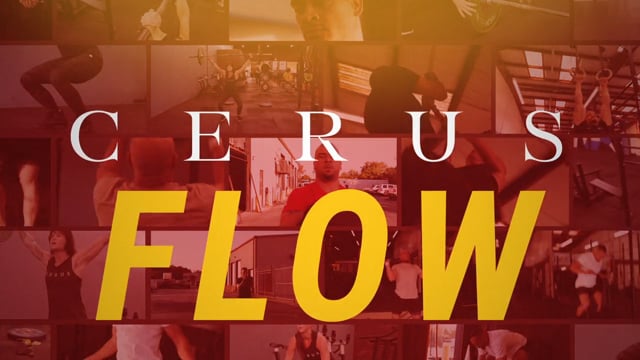 CERUS - Customer Success Story