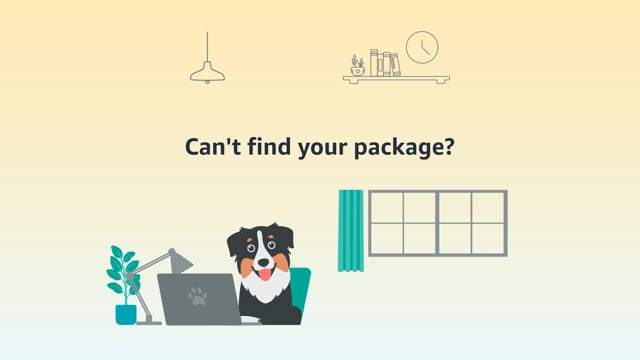 what is service package