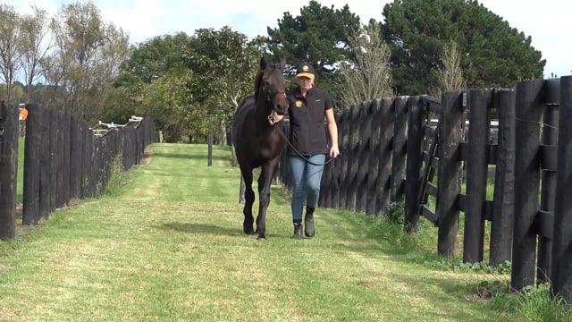 Lot 128