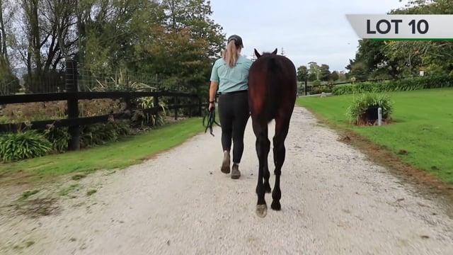 Lot 10