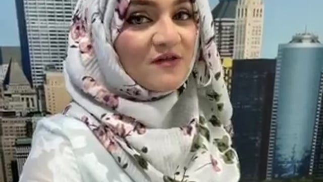 What is OPT in the USA?