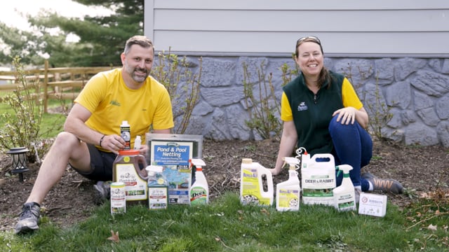 Deer Resistant Gardening Tips