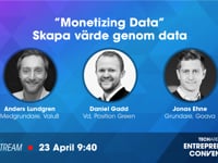 ”Monetizing Data” - Skapa värde genom data