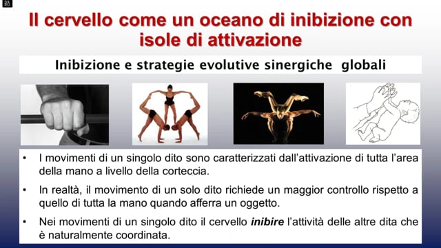Le funzioni proattive del cervello umano e controllo dell'azione