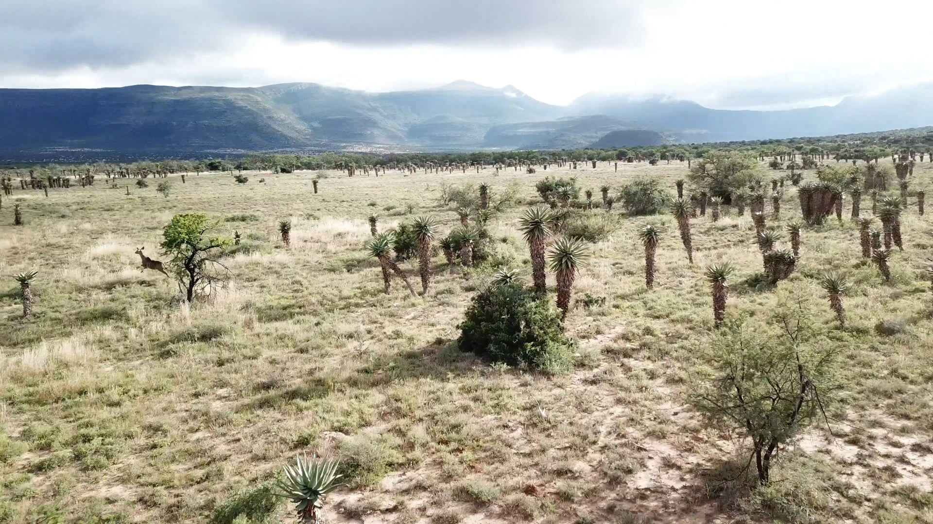 Kevin & Brian South Africa Adventure | Sun Africa Safaris