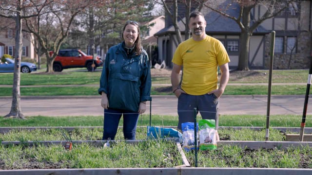 Vegetable Gardening in Raised Beds | Part 14: How to Till Winter Wheat in Spring