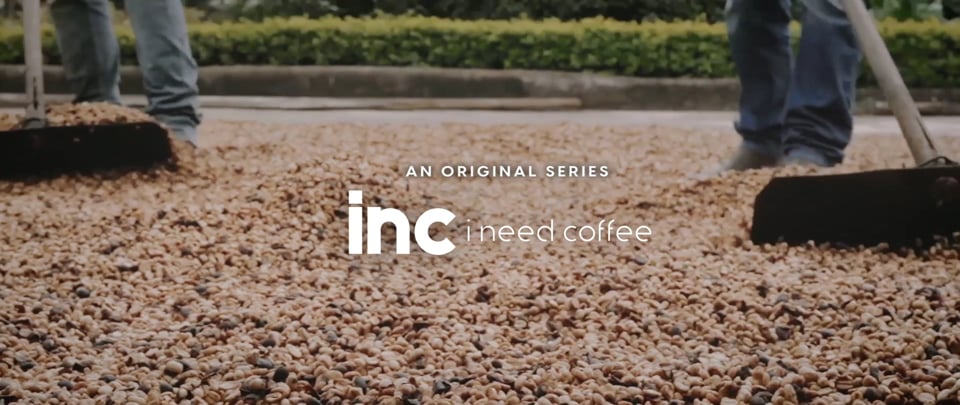 What's specialty coffee?