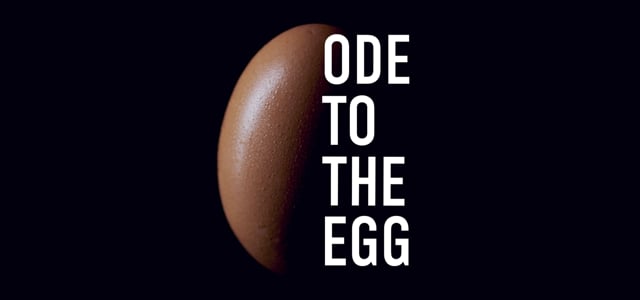 Ode to the Egg