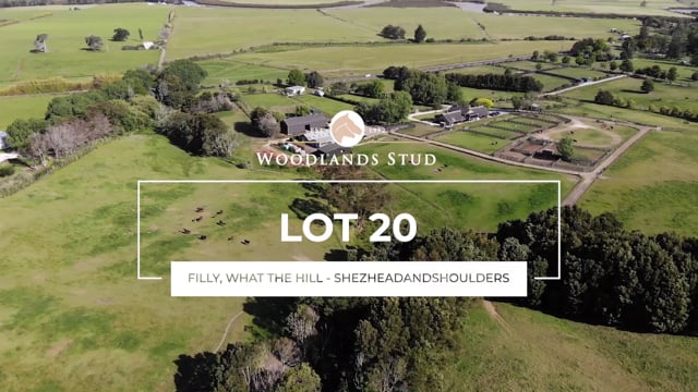 Lot 20