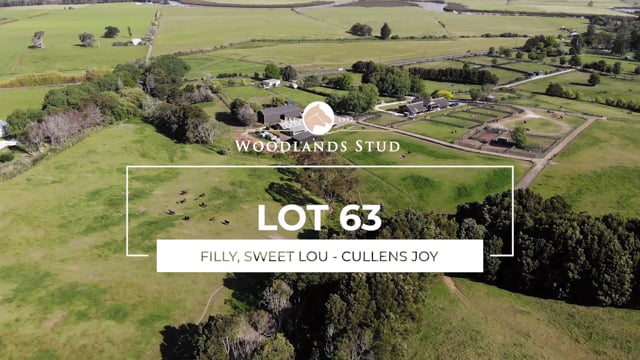 Lot 63