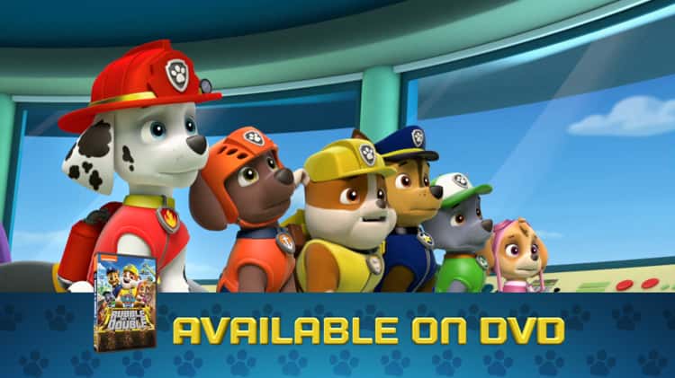 Paw Patrol-Rubble