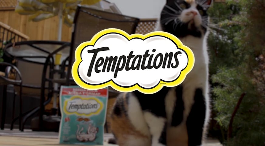 Temptations Cat Treats Commercial