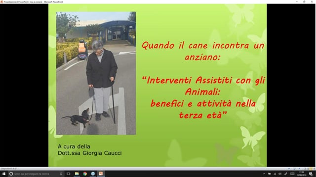 Quando il cane incontra l'anziano. Interventi Assistiti con gli Animali: benefici e attività nella terza età