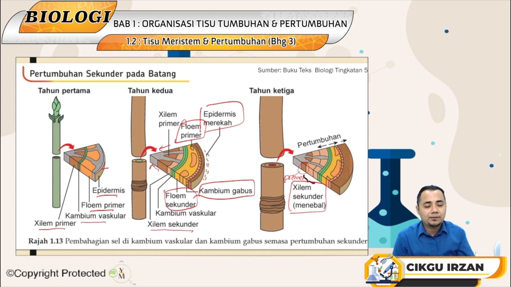 F5_BIO_01-05 Tisu Meristem & Pertumbuhan (Bhg 3)
