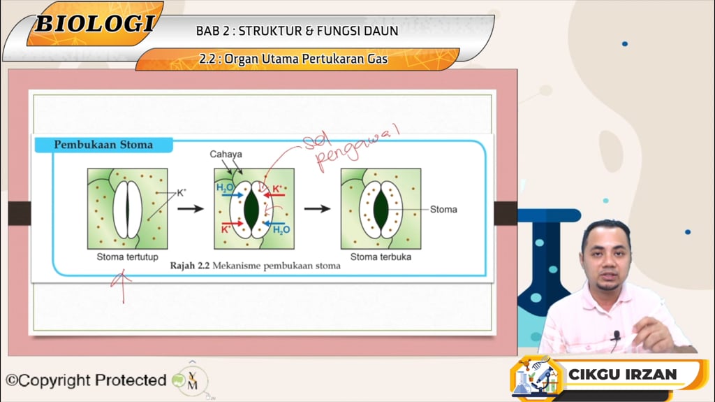 F5_BIO_02-02 Organ Utama Pertukaran Gas