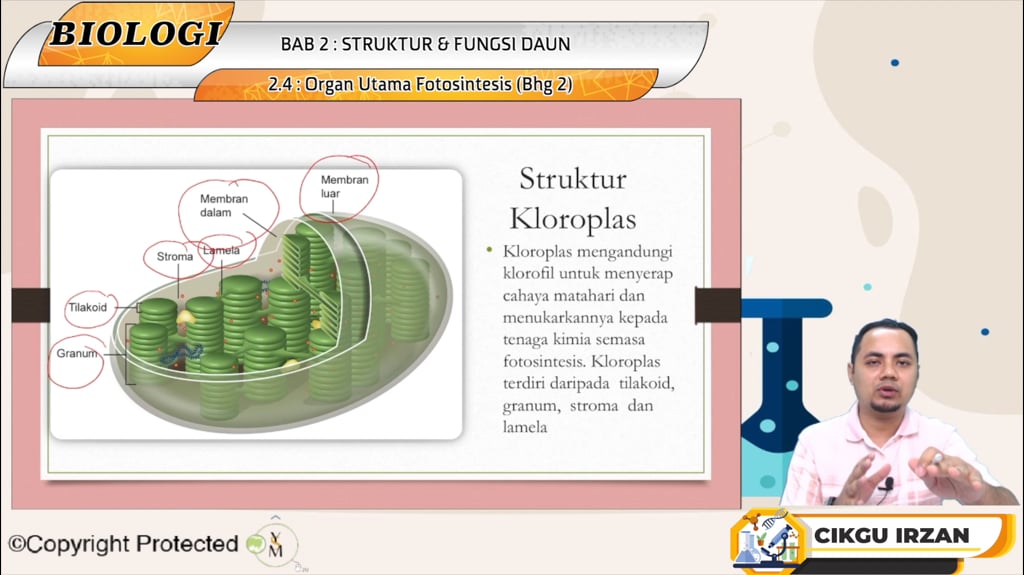 F5_BIO_02-06 Organ Utama Fotosintesis (Bhg 2)